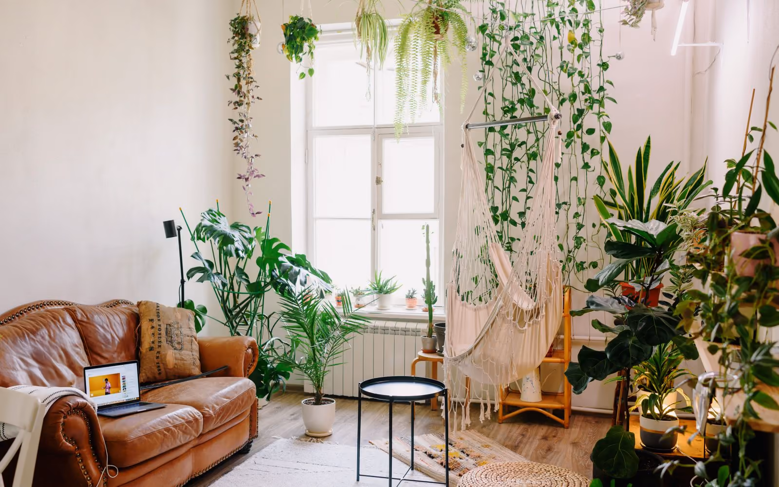 Modern living room interior with furniture and plants